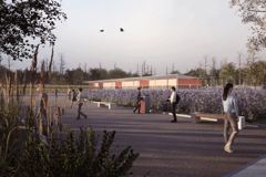 Çorlu City Forest, thumbnail 2